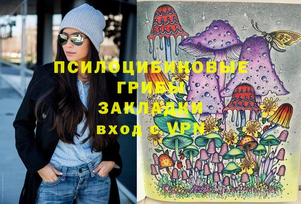 марки lsd Пересвет